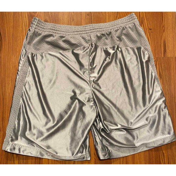 Vintage Nike Gray Mesh Shiny Logo Mens XL Basketball Shorts Gray Tag Y2K - Picture 2 of 10
